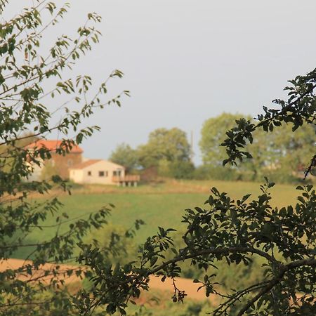 Pour Les Amoureux De La Nature. Saint-Cirgue Eksteriør bilde